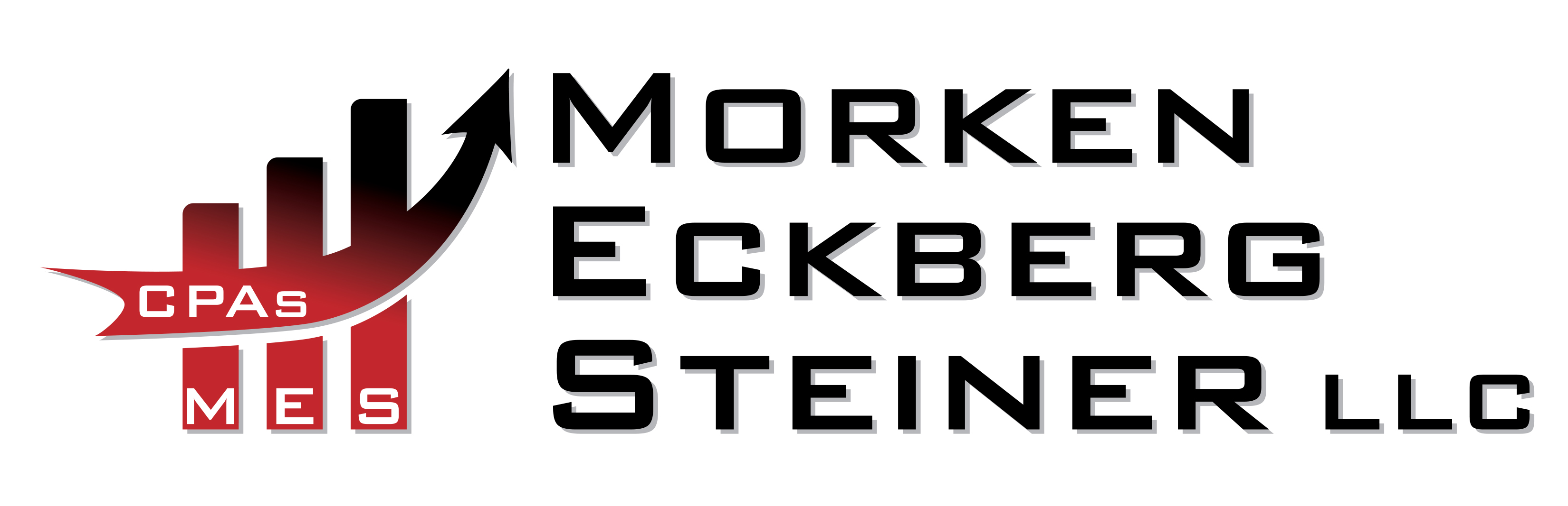 Eckberg Steiner Power LLC